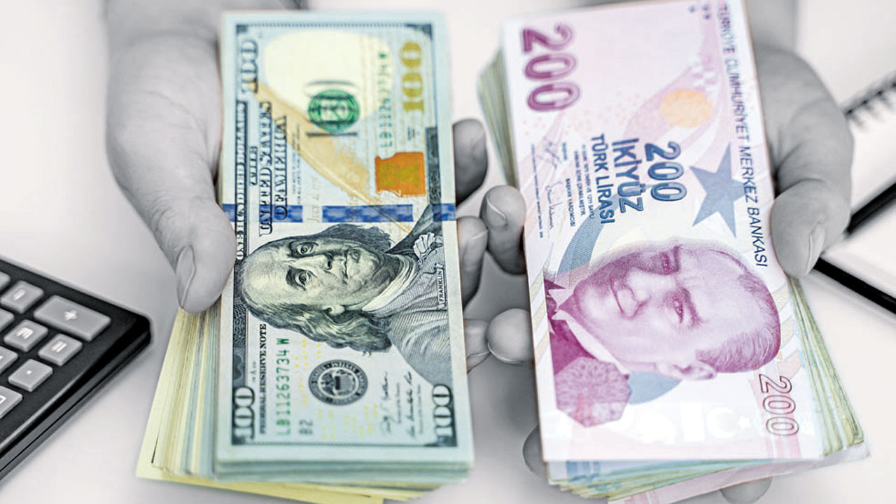 dolar tl