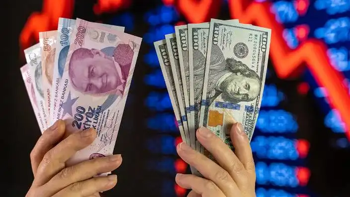 DOLAR EURO TL