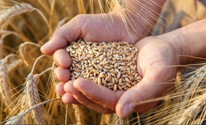Rusya'dan tahıl tehdidi