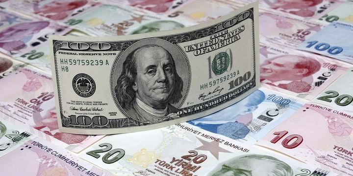 Serbest piyasada döviz açılış fiyatları