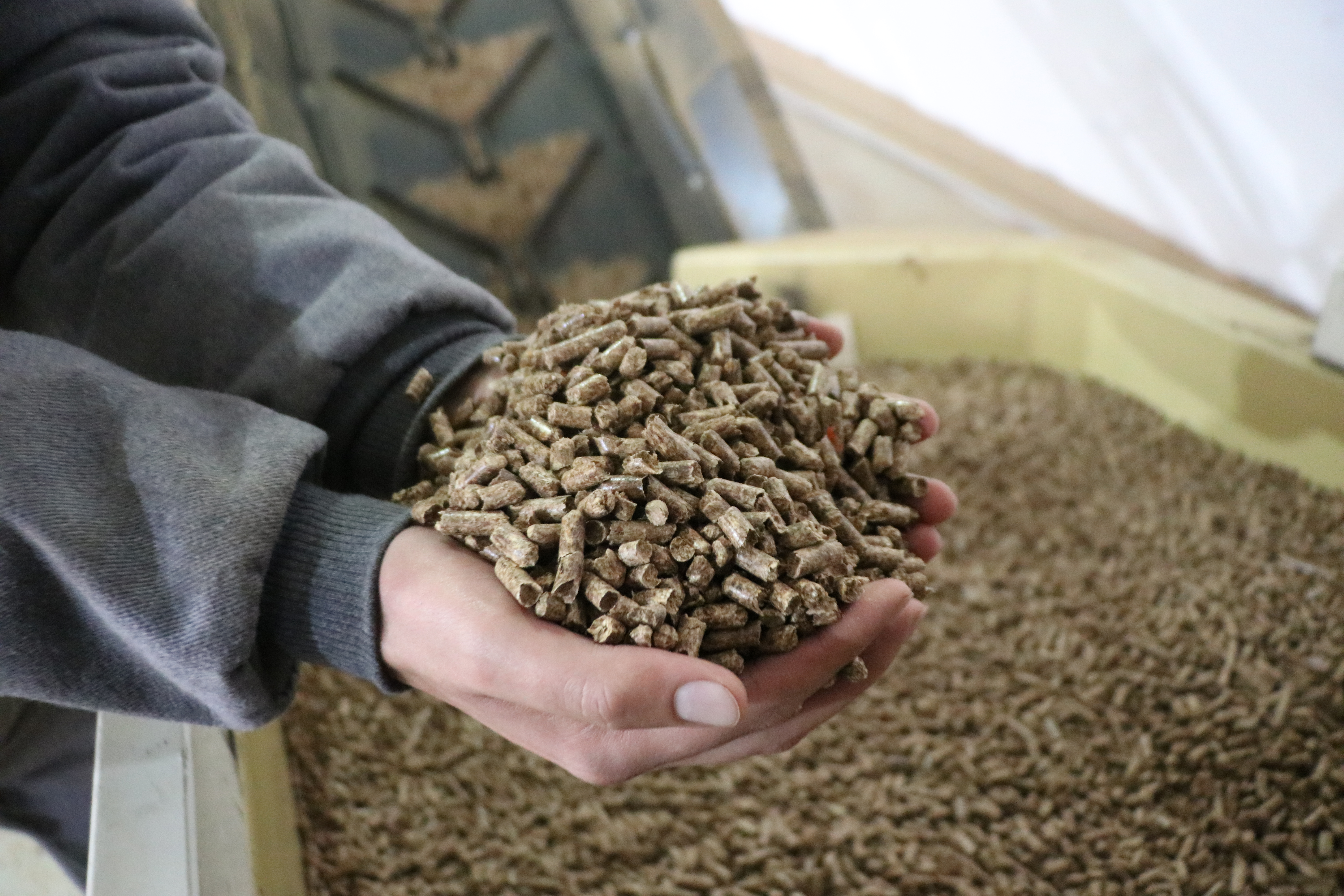 Ezincan'daki fabrikada atık orman ürünleri "pelet" ile ekonomiye kazandırılıyor