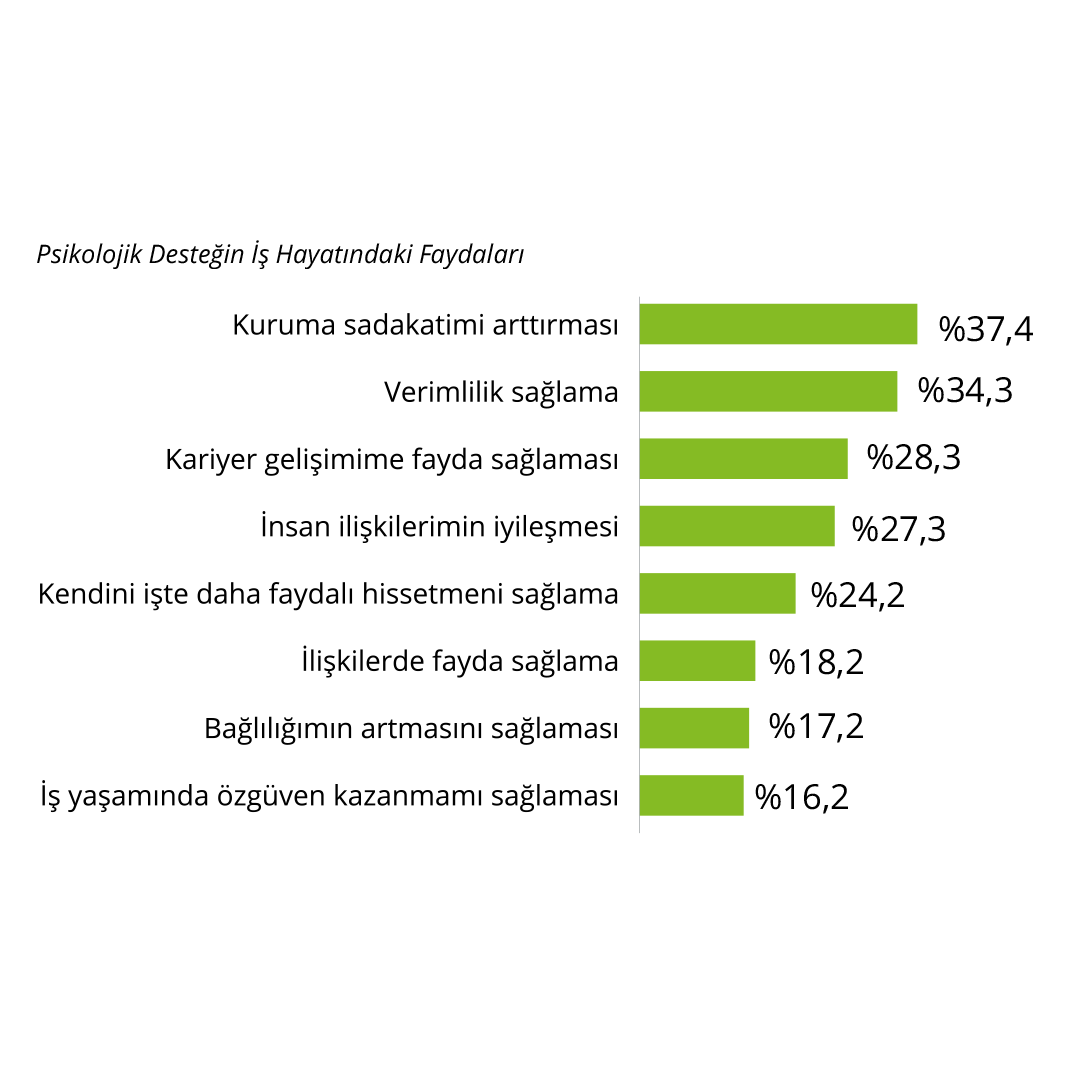 Z kuşağı