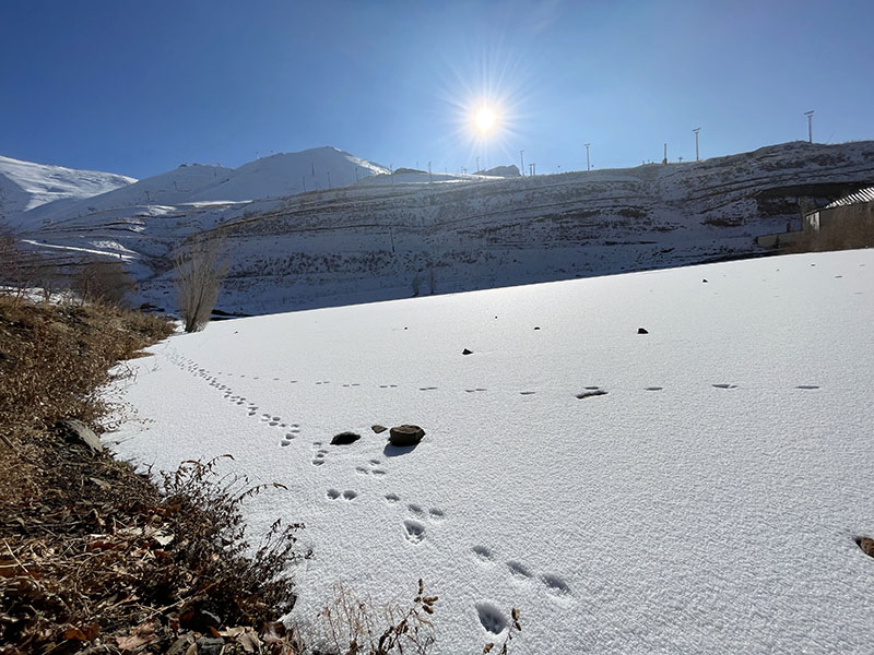 Erzurum'da kar yüksekliği 30 yılda 3'te 1 azaldı