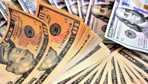  Dolar Kontrol Altında