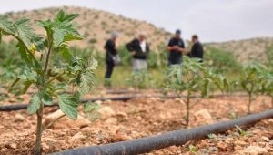 Ekonomik kriz yerli üretime zorluyor