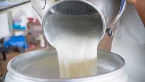 Ticari süt işletmelerince Temmuz ayında 863 bin 9 ton inek sütü toplandı