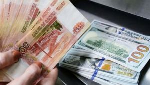 Ulusal para birimi kullanımına destek