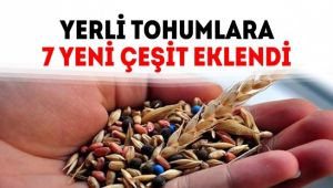 Yerli tohumlara 7 yeni çeşit eklendi