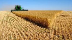 Çiftçiye gübre, yem ve ilaç indirimi enflasyonu düşürür mü?