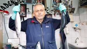 Karadeniz'de palamut bereketi