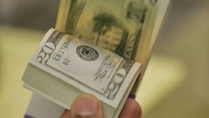 Rusya'dan dolar hamlesi