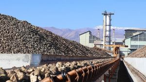 VE .. O  Fabrikalarının Arazileri Satışta