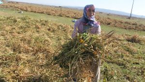 Don Kazakları'ndan kalan müthiş lezzet