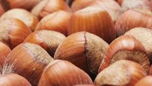 Fındık ihracatından 2 ayda 314,3 milyon dolarlık gelir