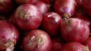 Flaş açıklama! 'Soğanda iniş çıkışlar olacak...'