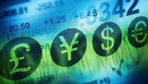 Merkez'in brüt döviz rezervleri 1.6 milyar dolar arttı