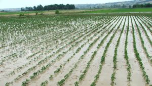 TARSİM hasarları uydudan takip ediyor