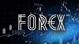 10-14 Aralık 2018 Haftalık Forex Bülteni