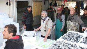 Beklenen haber geldi! Denizden adeta fışkırdı