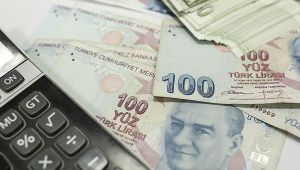 Hazine 1,5 milyar lira borçlandı