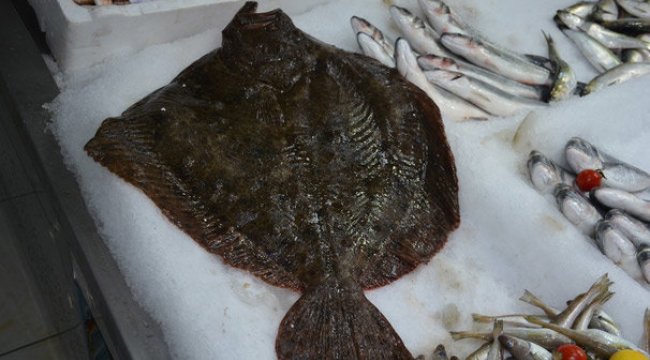 Karadeniz'de avlandı Fiyatı dudak uçuklatıyor!