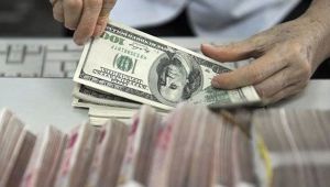 Reel efektif döviz kuru endeksi kasımda yükseldi