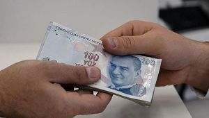 Resmi Gazete'de yayımlandı! 130 lira cezası var...