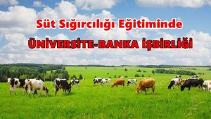 Süt Sığırcılığı Eğitiminde Üniversite-Banka İşbirliği hayata geçti…