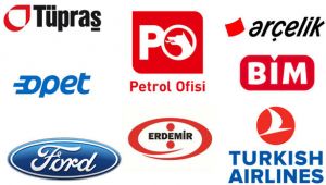 Türkiye'nin En Büyük 500 Özel Şirketi belli oldu