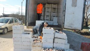 Denizden adeta fışkırıyor! 300 balıkçı oraya akın etti