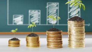 Finansal Yatırım Araçlarının Reel Getiri Oranları, Aralık 2018