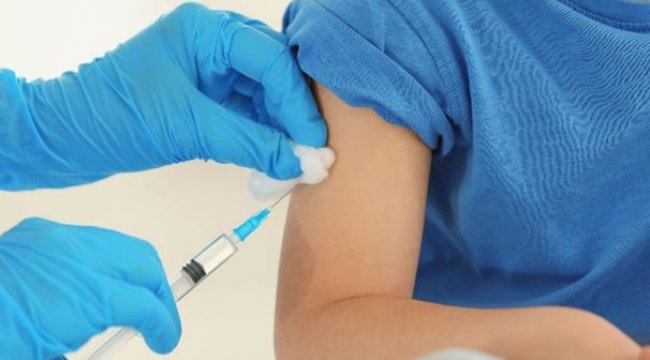 Komşuda domuz gribi alarmı! Onlarca kişi hayatını kaybetti