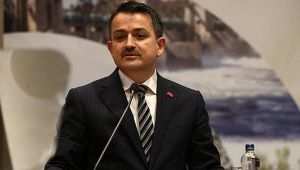 Bakan Pakdemirli: Hortum faciası nedeniyle 30 milyon lira tazminat ödendi