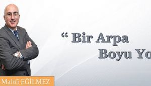 Bir Arpa Boyu Yol