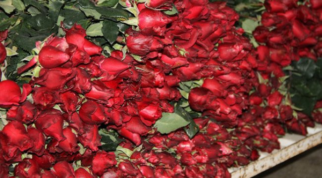 Bir günde 120 bin adet çiçek satıldı