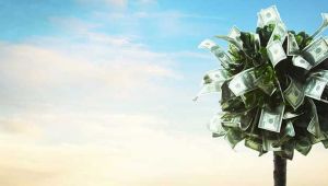 Finansal Yatırım Araçlarının Reel Getiri Oranları, Ocak 2019