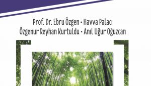 İLİŞKİLER İDEALİ: ALANIN KEŞFİ