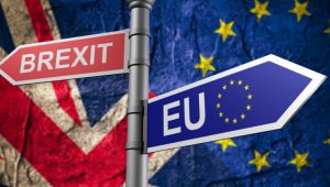 May : Brexit'i zamanında gerçekleştireceğim