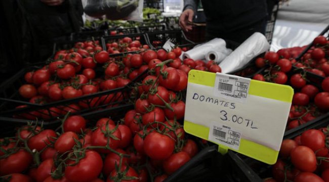Tanzim satışlar tam gaz sürüyor