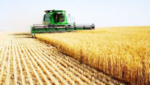 Tarım- ÜFE Ocak ayında %8,29 arttı