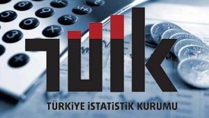 Yurt içi üretici fiyat endeksi aylık %0,45 arttı