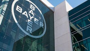 Kimya devine 80 milyon dolarlık ceza