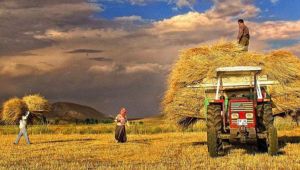 Mevsimlik tarım işçilerinin ortalama günlük ücretleri %12,6 arttı