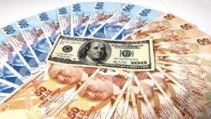 TL Niye Değer Kaybediyor?