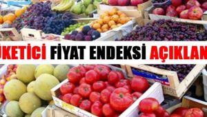 Tüketici fiyat endeksi (TÜFE) aylık %0,16 arttı