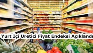 Yurt içi üretici fiyat endeksi aylık %0,09 arttı