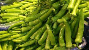  Biber Zam Şampiyonu