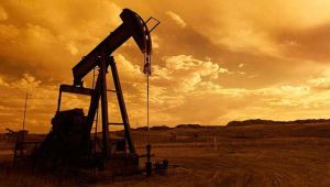 Necdet Pamir: Söylem ve eylem birbirinin tersi!