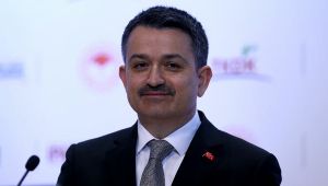 Bakan Pakdemirli açıkladı: Üreticiye 60 milyon euroluk yeni hibe