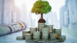 'Emeklilik fonlarından 2.5 milyar lira Hazine'ye borç verilecek'